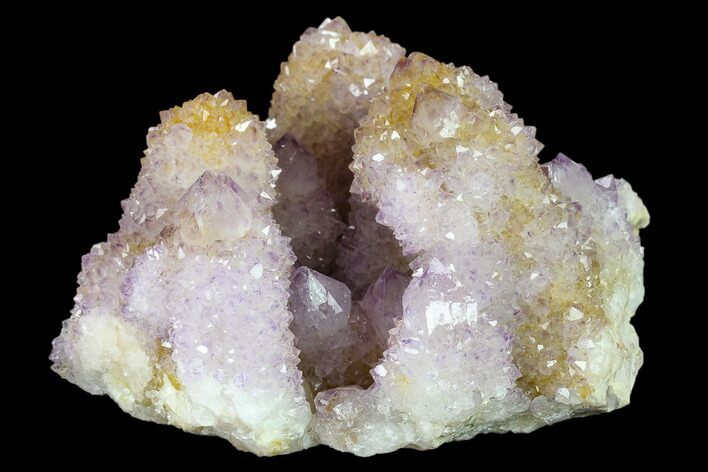 Cactus Quartz (Amethyst) Crystal Cluster - South Africa #134338